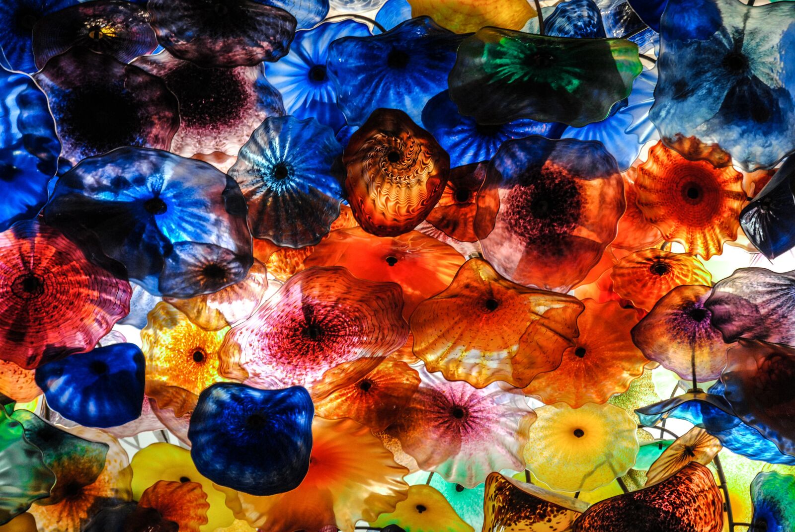 Nikon D3000 sample photo. Ornament, color, vivid photography