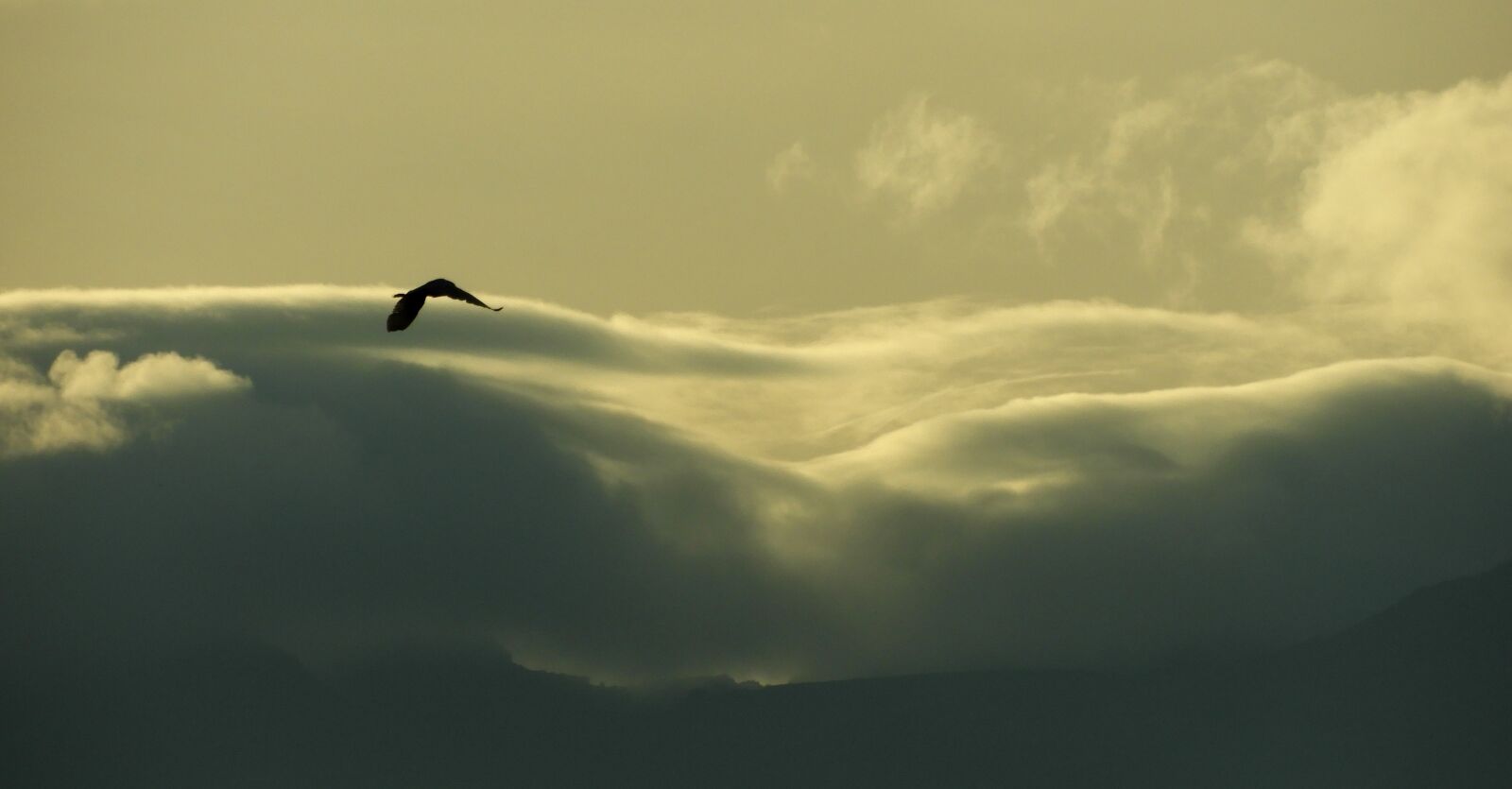 Nikon Coolpix B700 sample photo. Flight, landscape, clouds photography