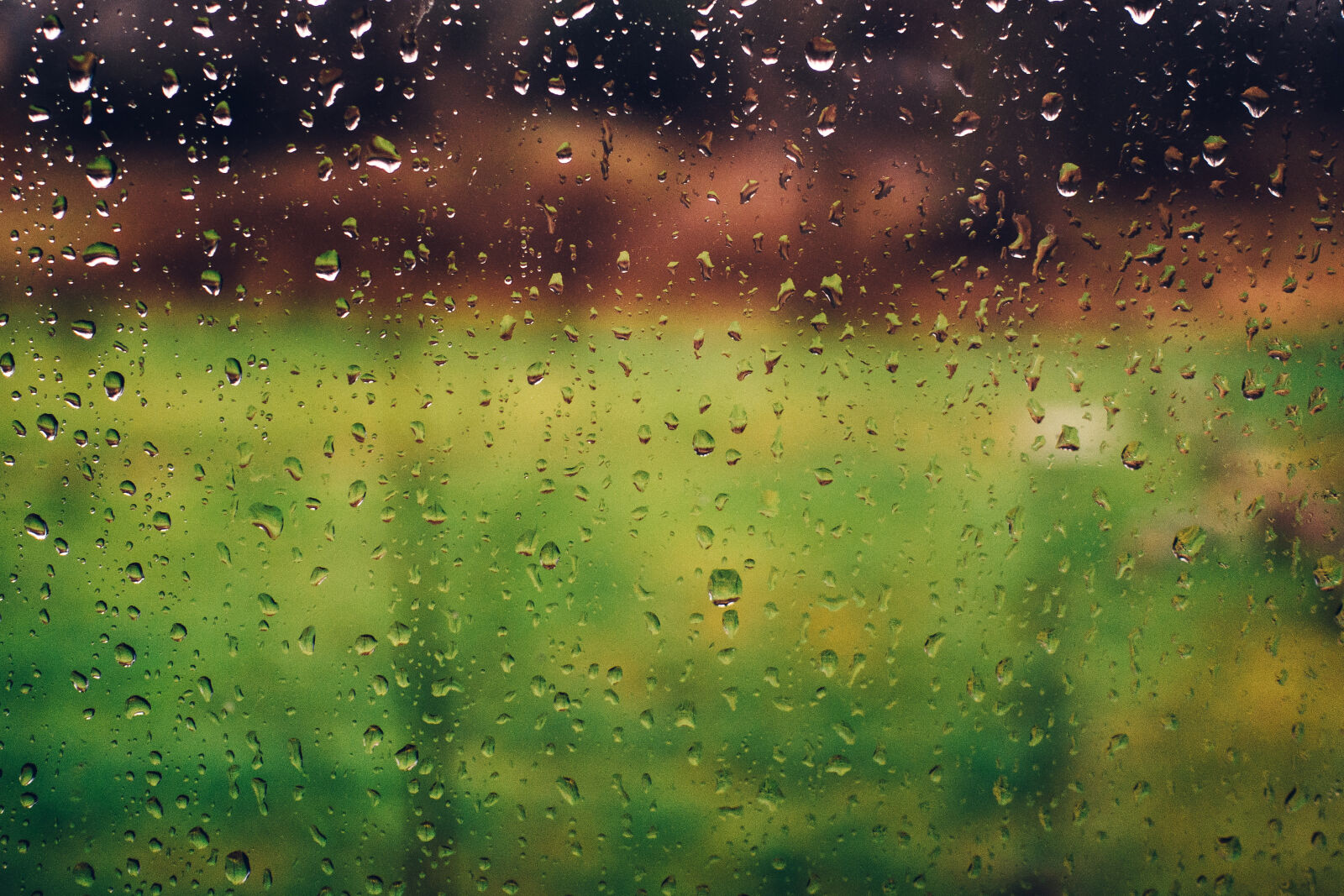 Olympus M.Zuiko Digital 17mm F1.8 sample photo. Weather, glass, blur, rain photography