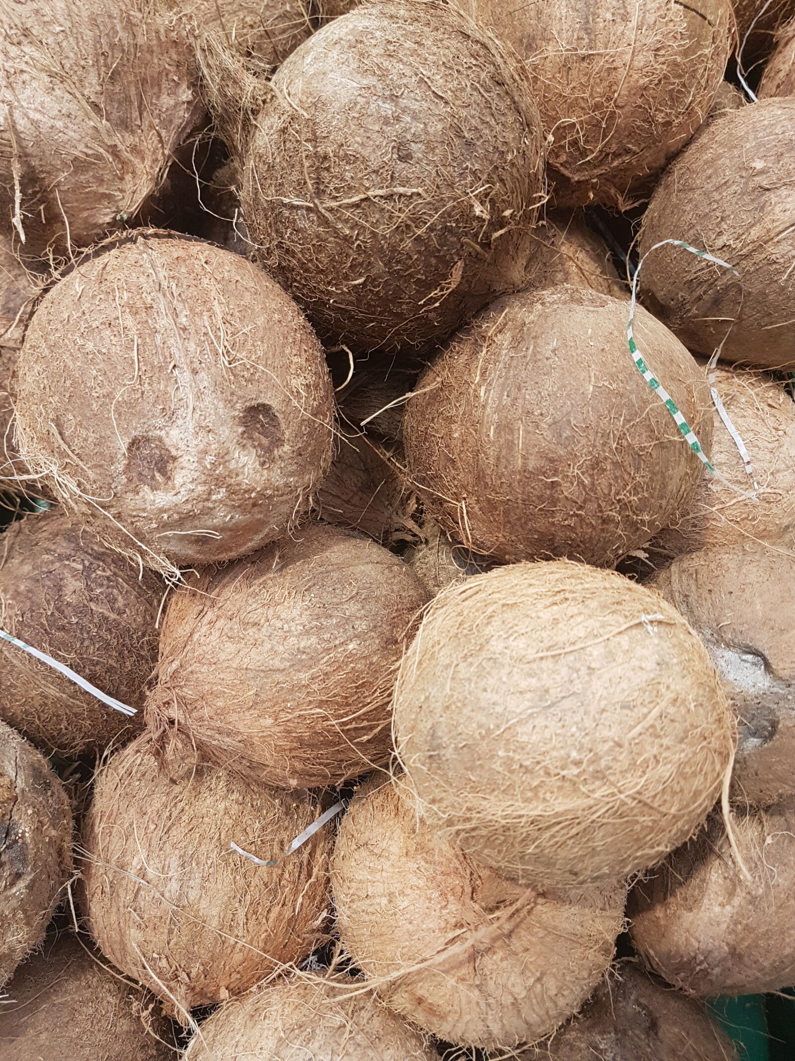 Samsung Galaxy S7 sample photo. Coconut photography