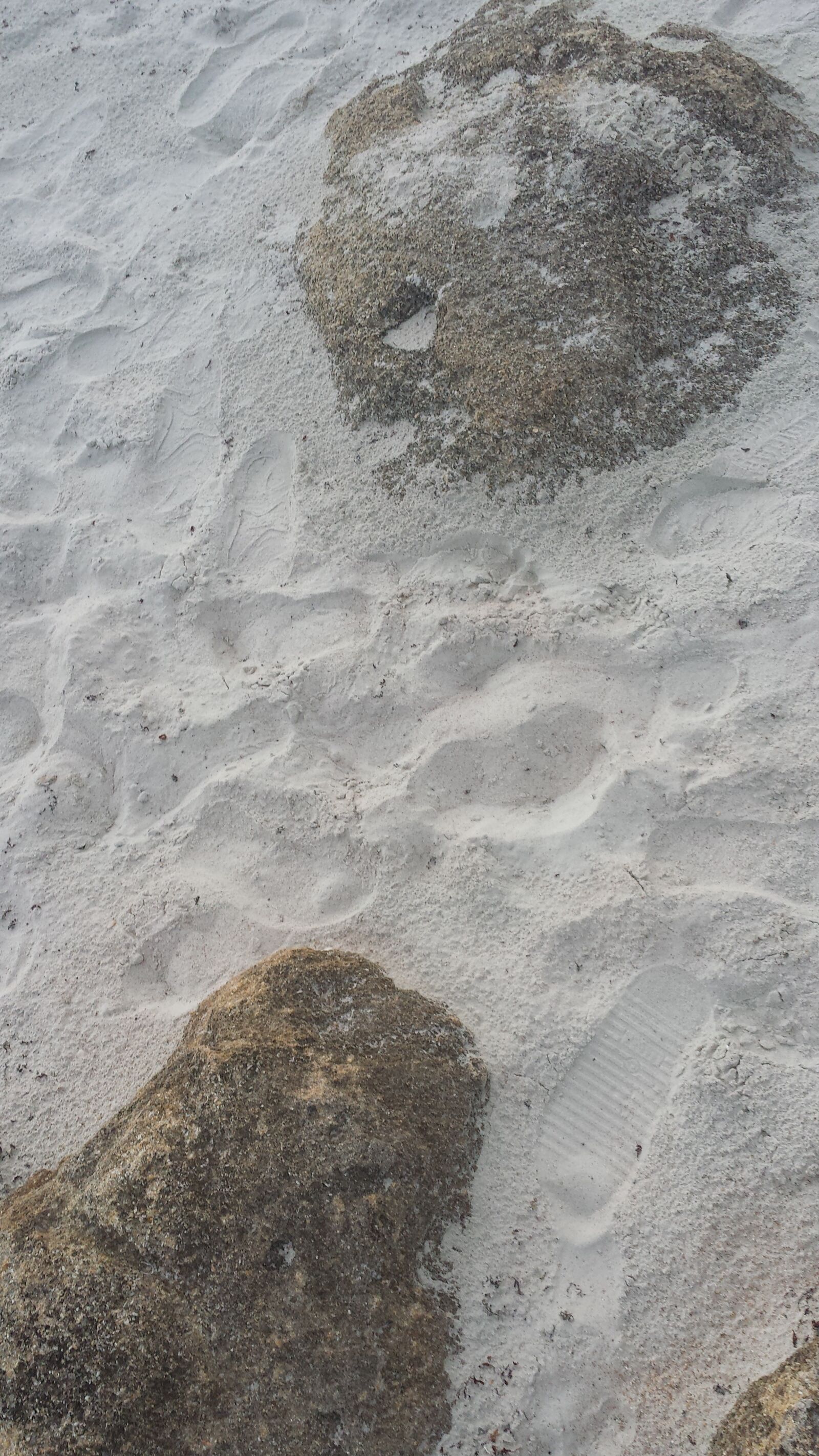 Samsung Galaxy S4 sample photo. Coquina rocks, florida coast photography