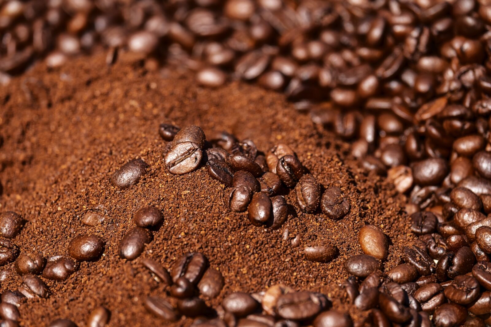 Fujifilm XF 55-200mm F3.5-4.8 R LM OIS sample photo. Coffee beans, coffee, beans photography