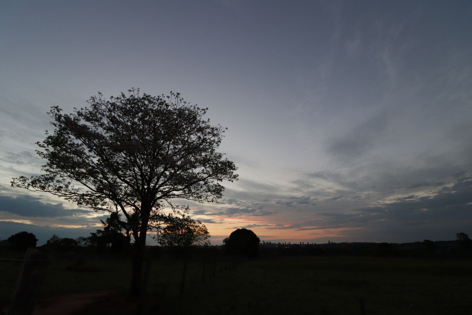 Canon EOS 800D (EOS Rebel T7i / EOS Kiss X9i) sample photo. Tree silhouette, tree, por photography