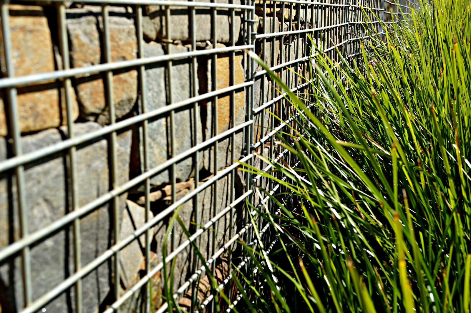 Sony Cyber-shot DSC-RX1R sample photo. Fenced wall, weeds, protest photography
