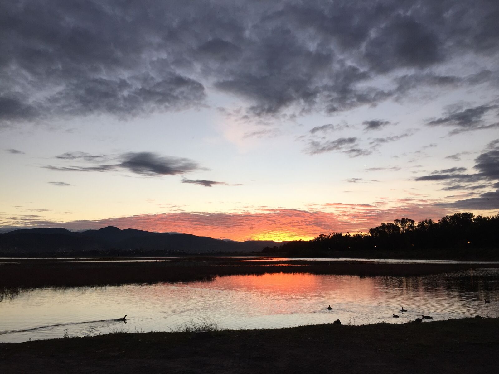 Apple iPhone 6 sample photo. Dawn, lake, nature photography