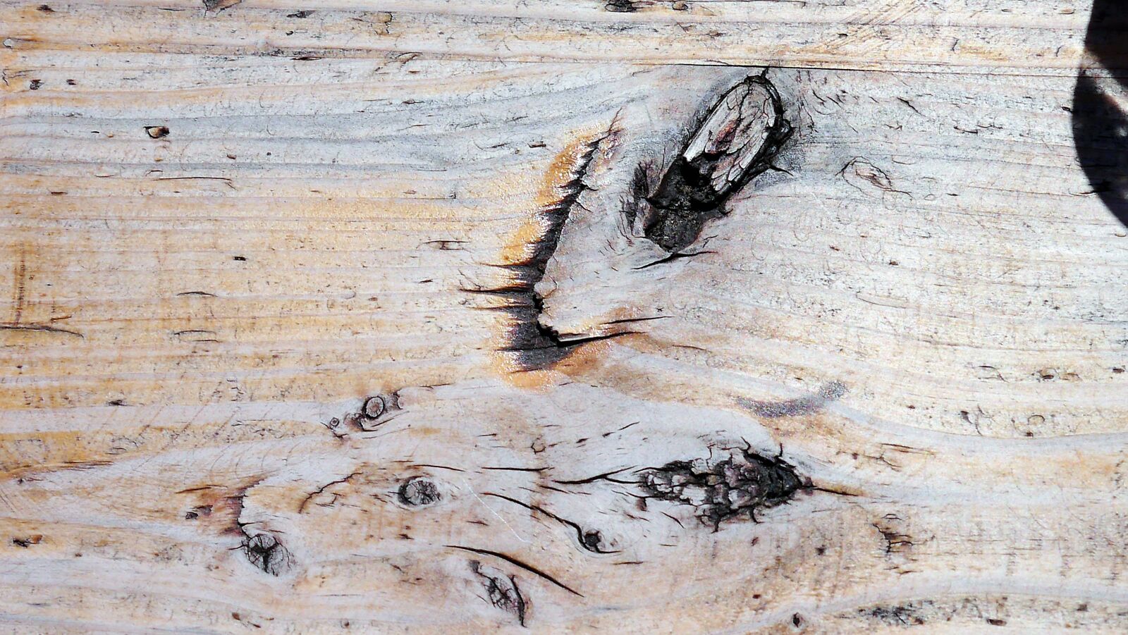 Panasonic Lumix DMC-G3 sample photo. Wood, grain, structure photography