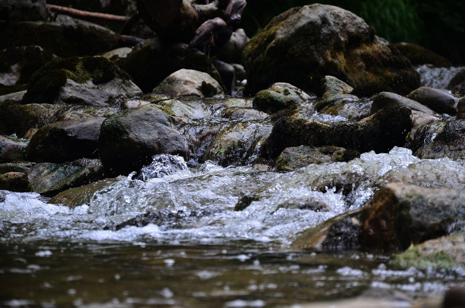 Nikon D5100 sample photo. Water, bach, nature photography