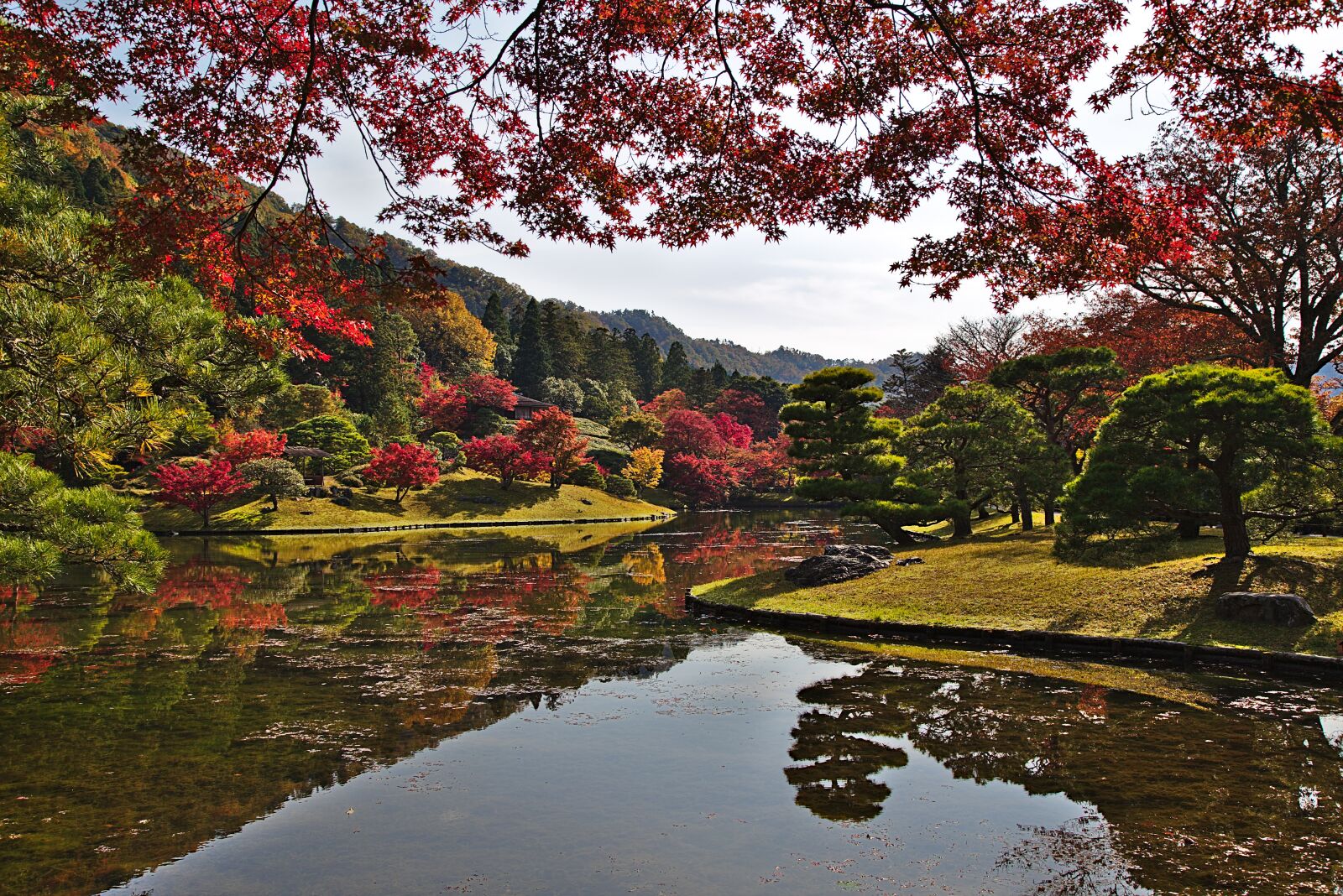 Canon EOS 6D + Canon EF 24-105mm F4L IS USM sample photo. Japan, kyoto, park photography
