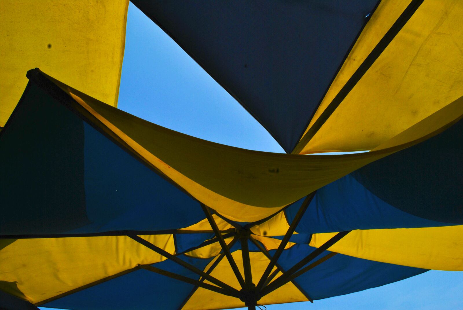 Nikon D3000 sample photo. Umbrellas, beach, summer photography