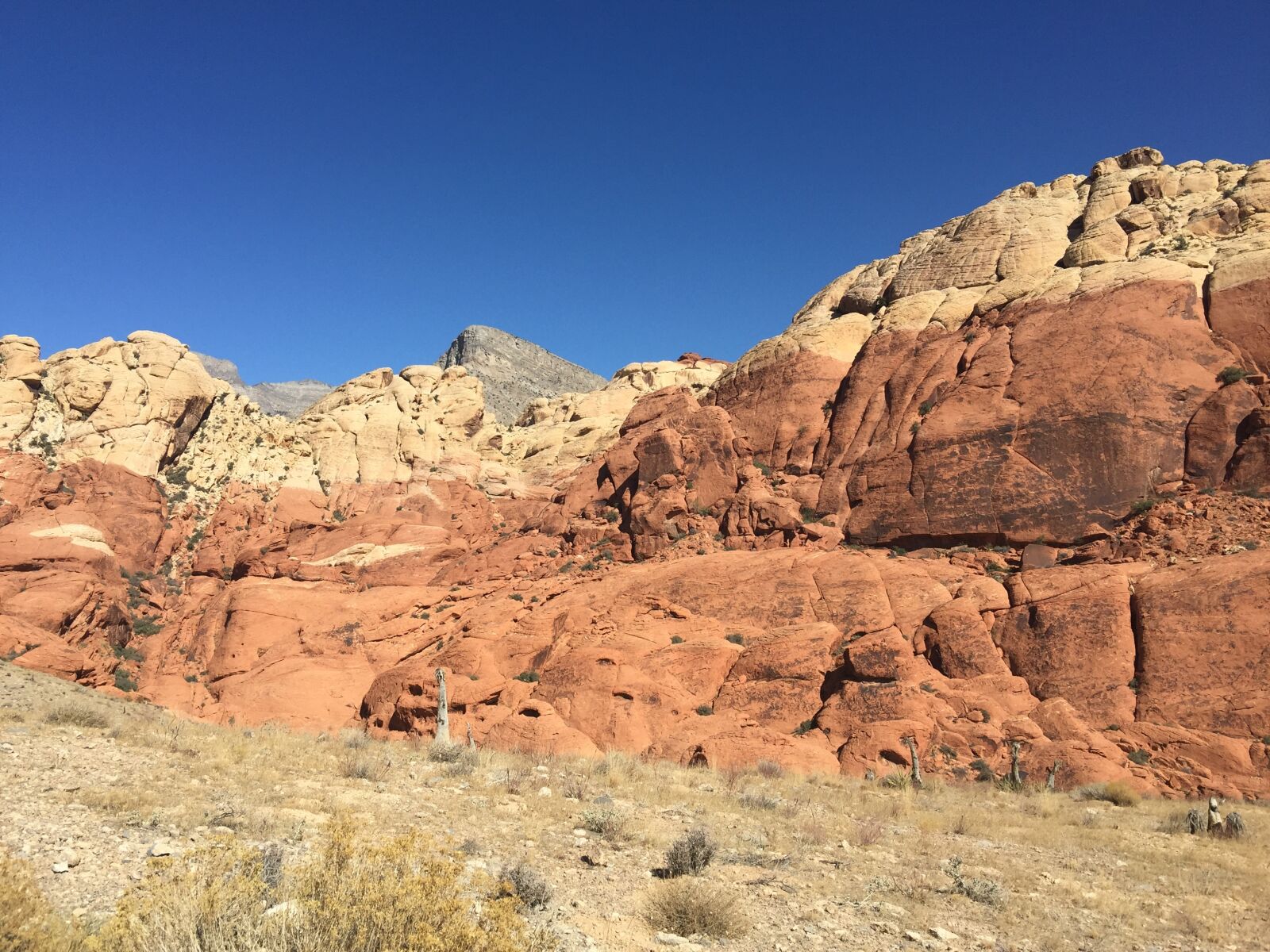 iPhone 6 Plus back camera 4.15mm f/2.2 sample photo. Red rocks canyon, desert photography