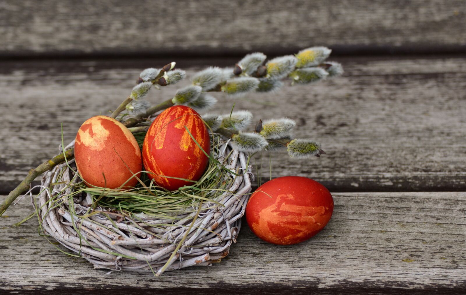 Nikon D5200 sample photo. Easter eggs, easter nest photography
