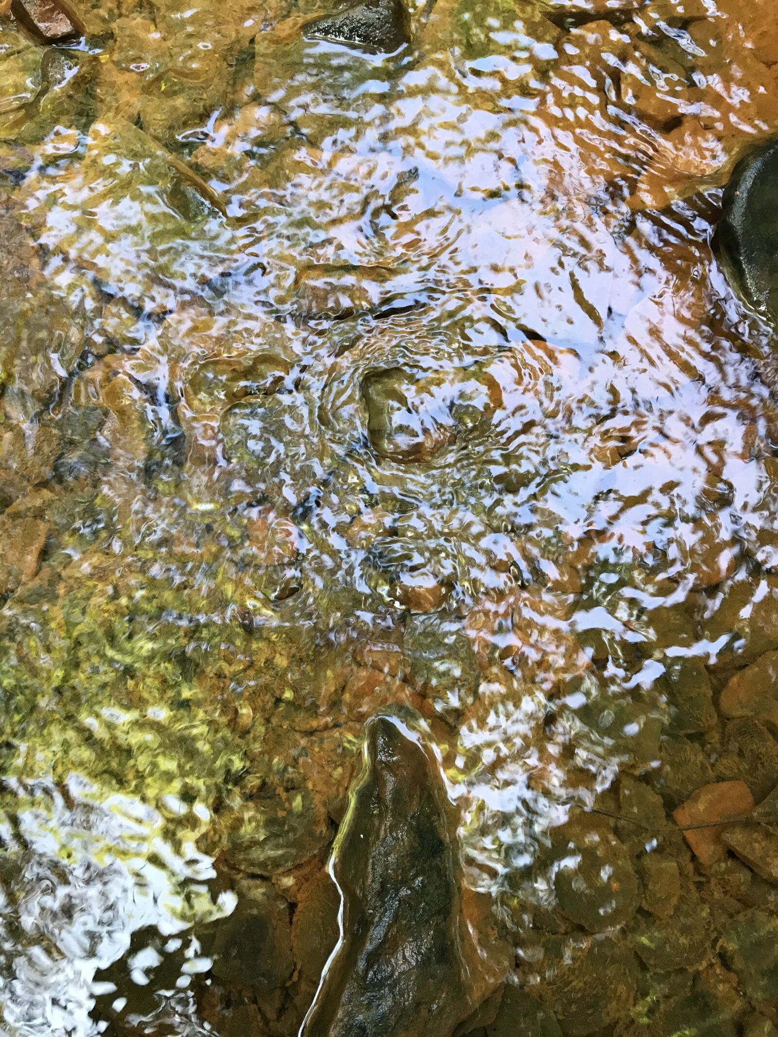 Apple iPhone 7 Plus sample photo. Spring, water, nature photography