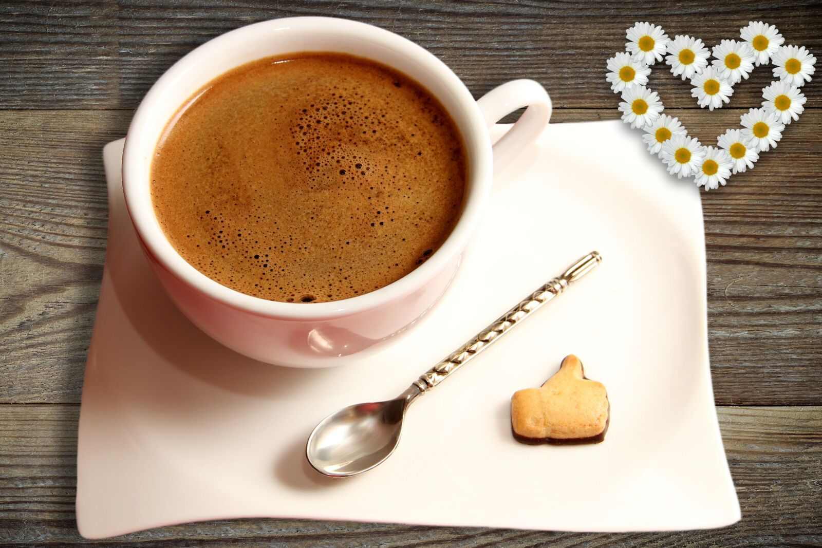 Canon EOS 600D (Rebel EOS T3i / EOS Kiss X5) sample photo. Cafe, coffee, cup photography