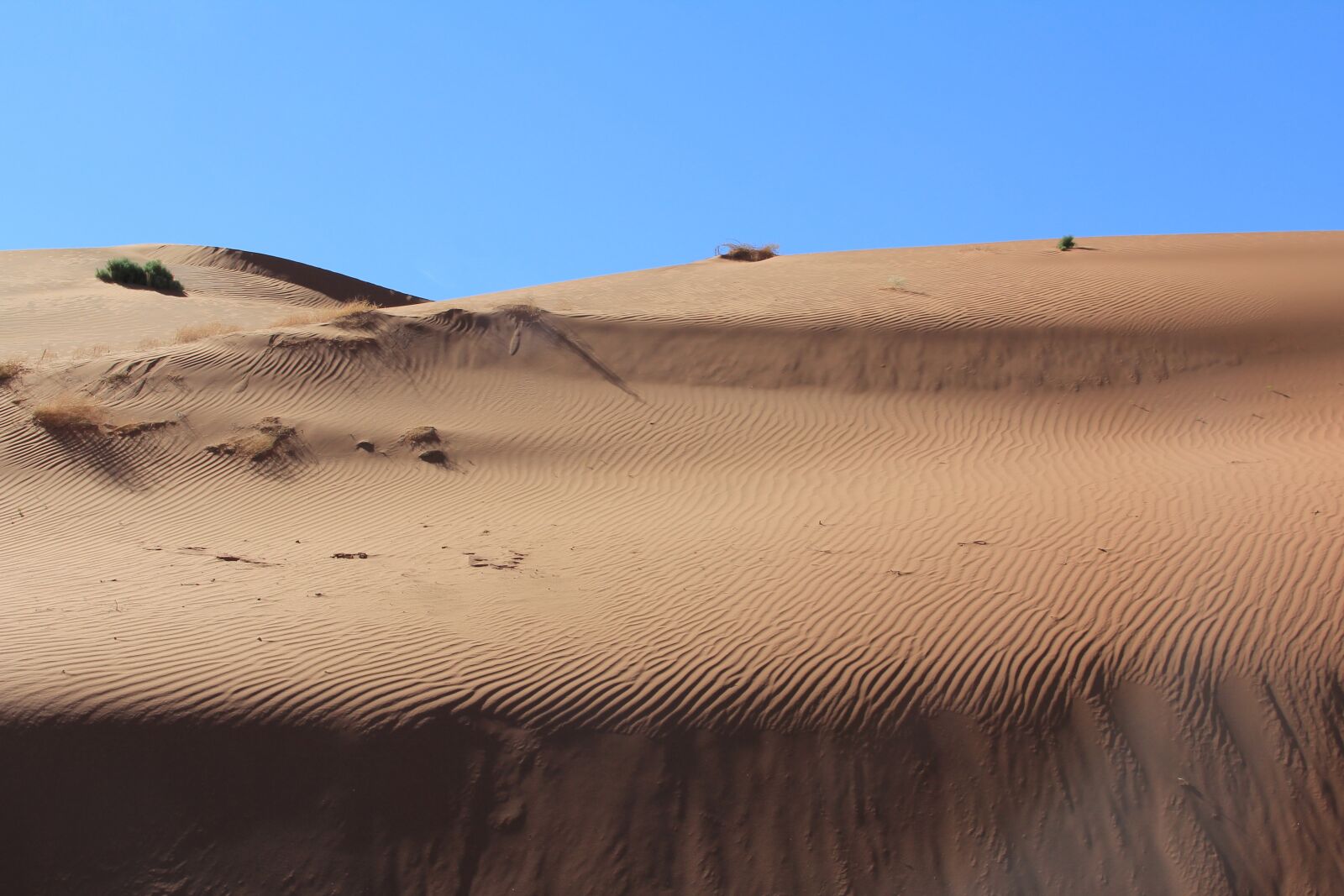 Canon EOS 60D sample photo. Desert, sand dune, dry photography