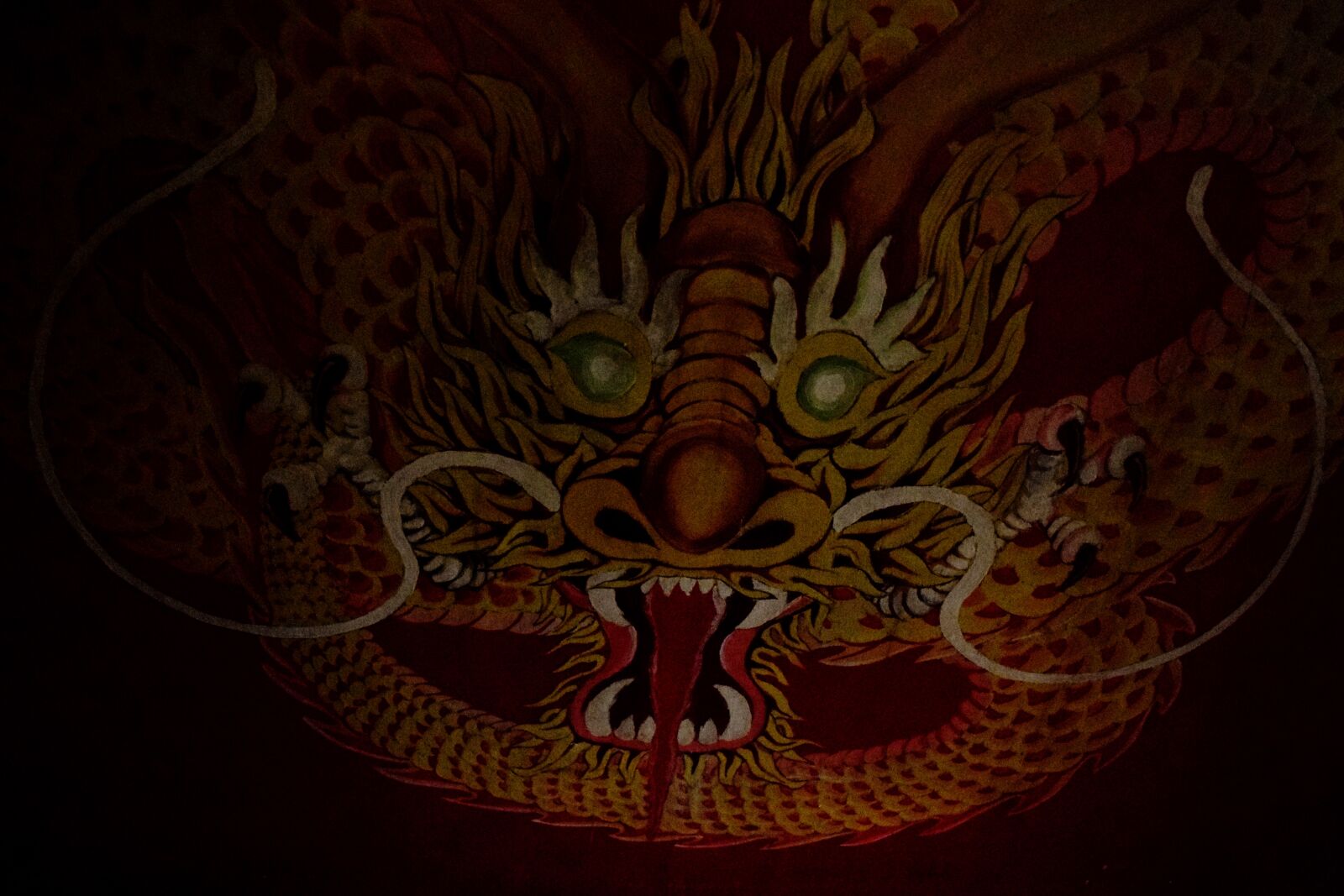 Nikon D5300 sample photo. Art, background, chinese, dragon photography