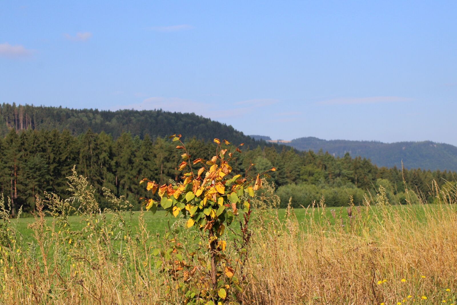 Canon EOS 1200D (EOS Rebel T5 / EOS Kiss X70 / EOS Hi) sample photo. Mountains, landscape, view photography