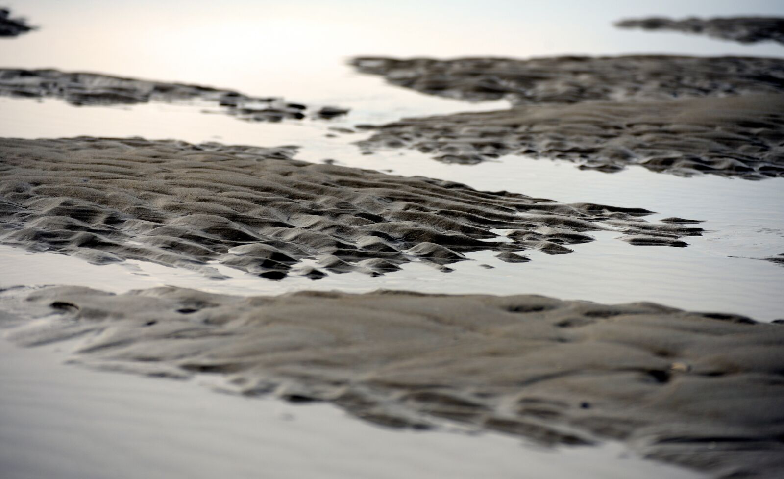 Nikon D610 sample photo. Watts, ebb, north sea photography