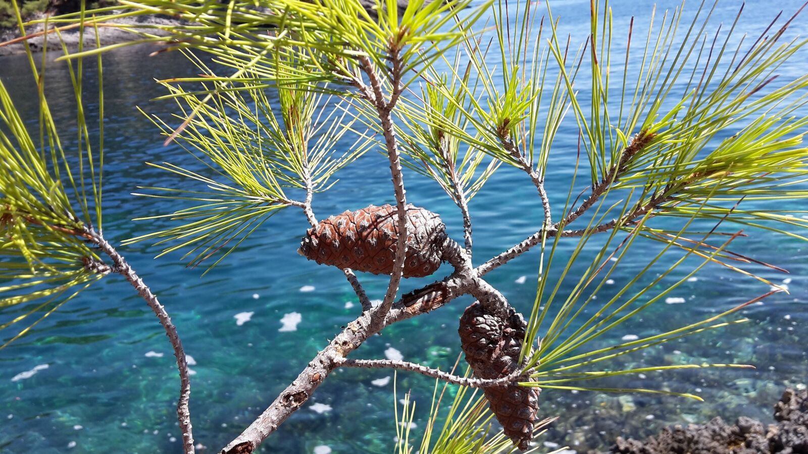Samsung Galaxy S5 Mini sample photo. Sea, nature, sides photography