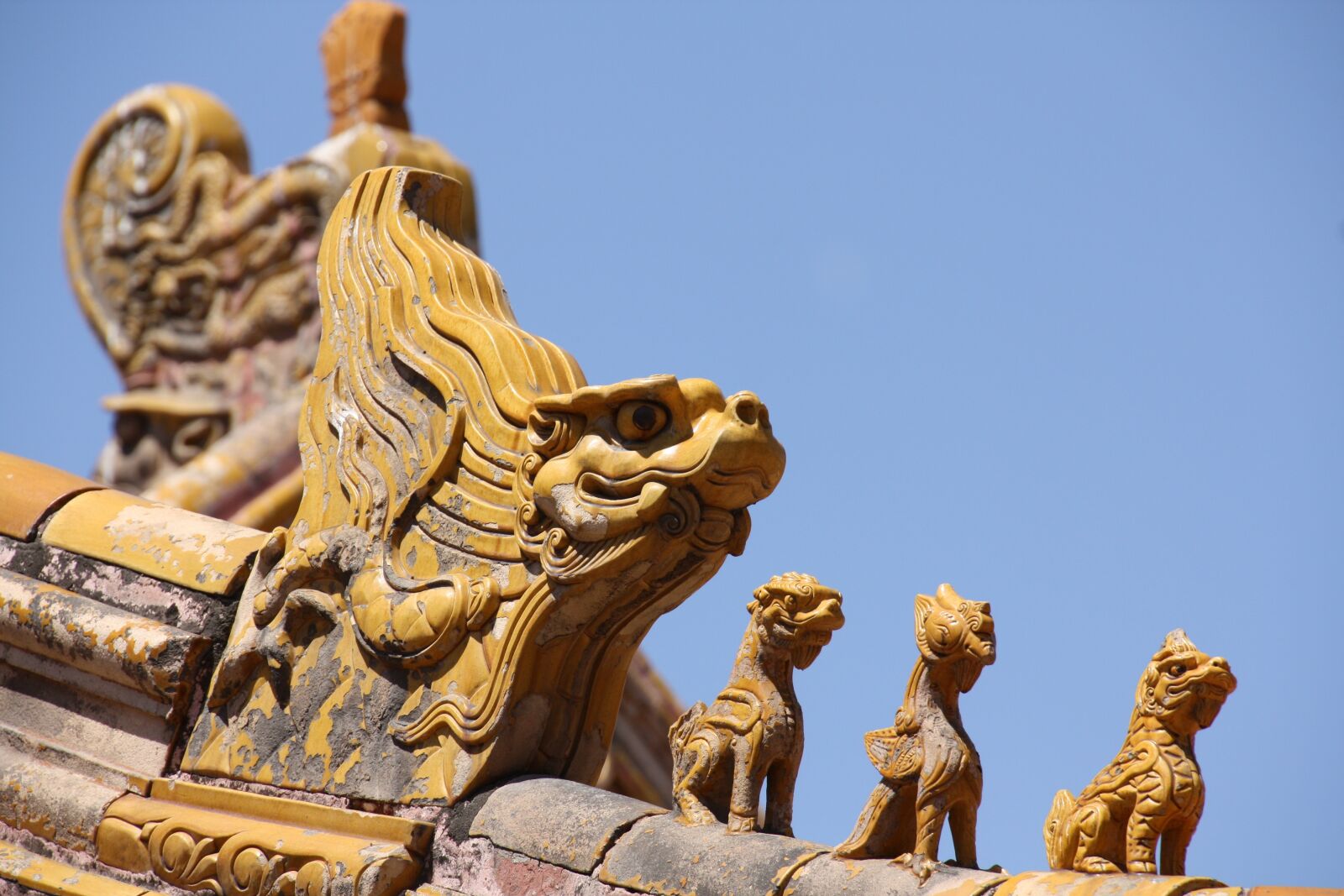 Canon EOS 450D (EOS Rebel XSi / EOS Kiss X2) sample photo. China, beijing, forbidden city photography