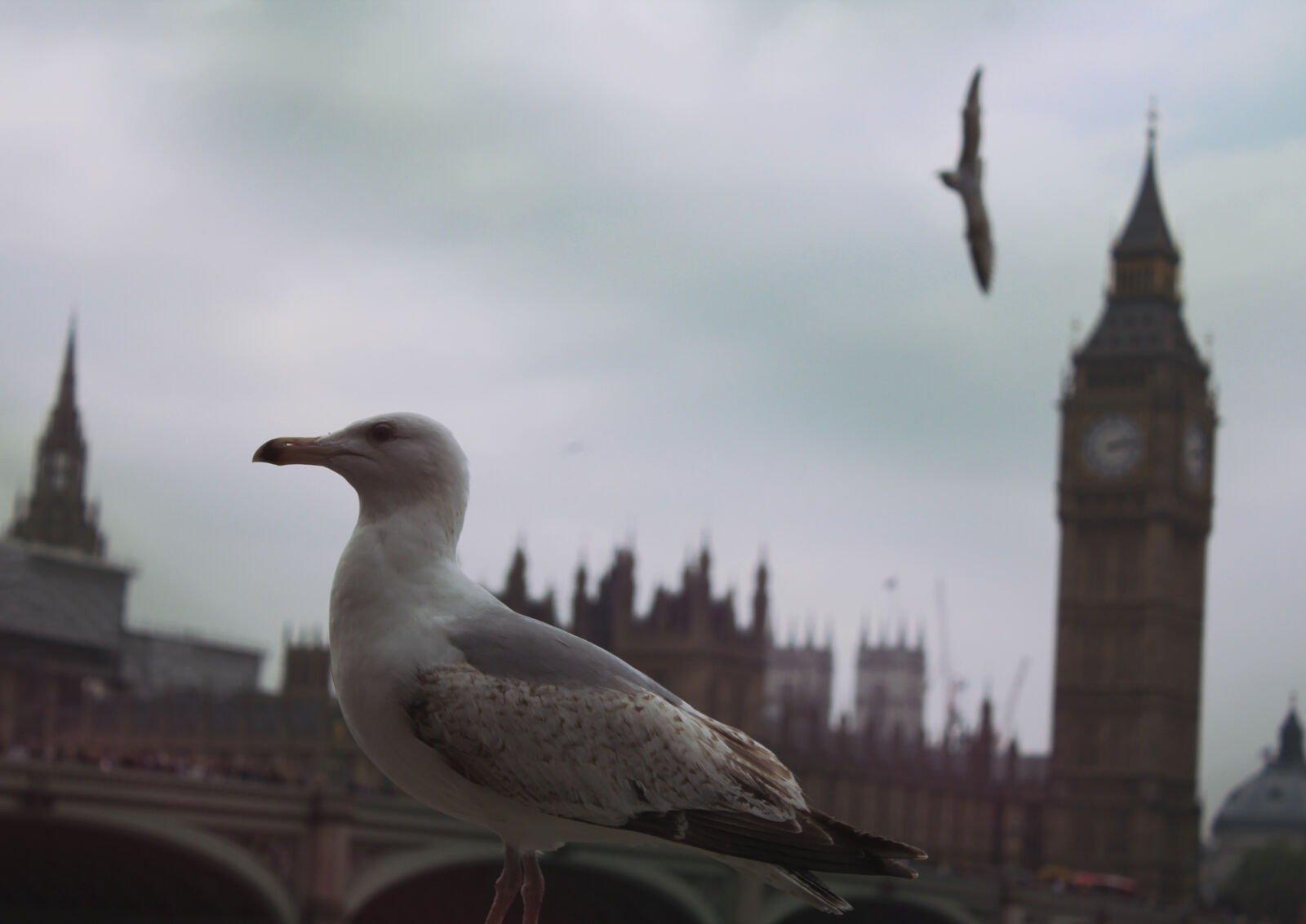 Canon EOS 1200D (EOS Rebel T5 / EOS Kiss X70 / EOS Hi) sample photo. Big, ben, big, ben photography