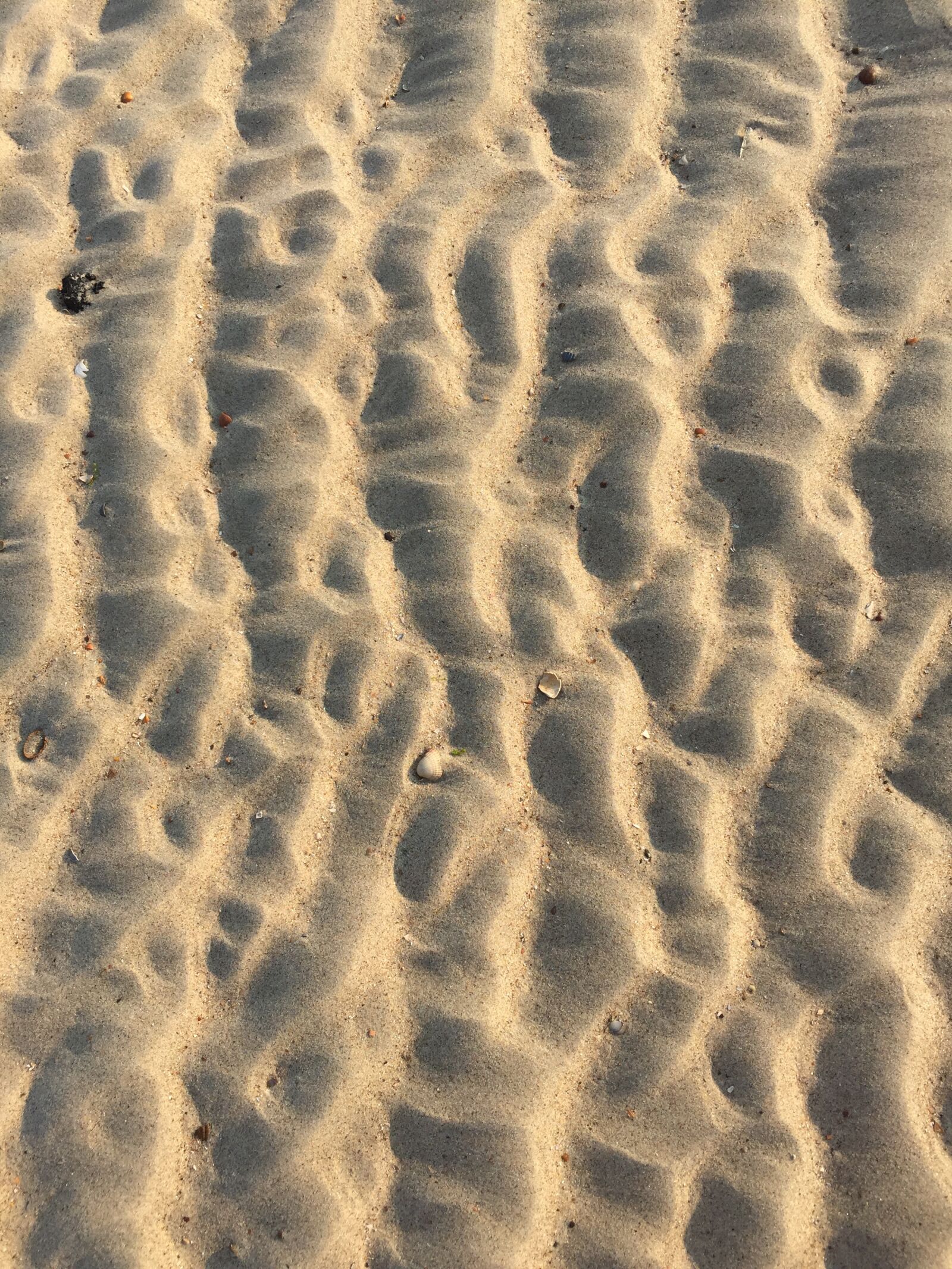 iPhone 6 Plus back camera 4.15mm f/2.2 sample photo. Beach, sand, tracks in photography