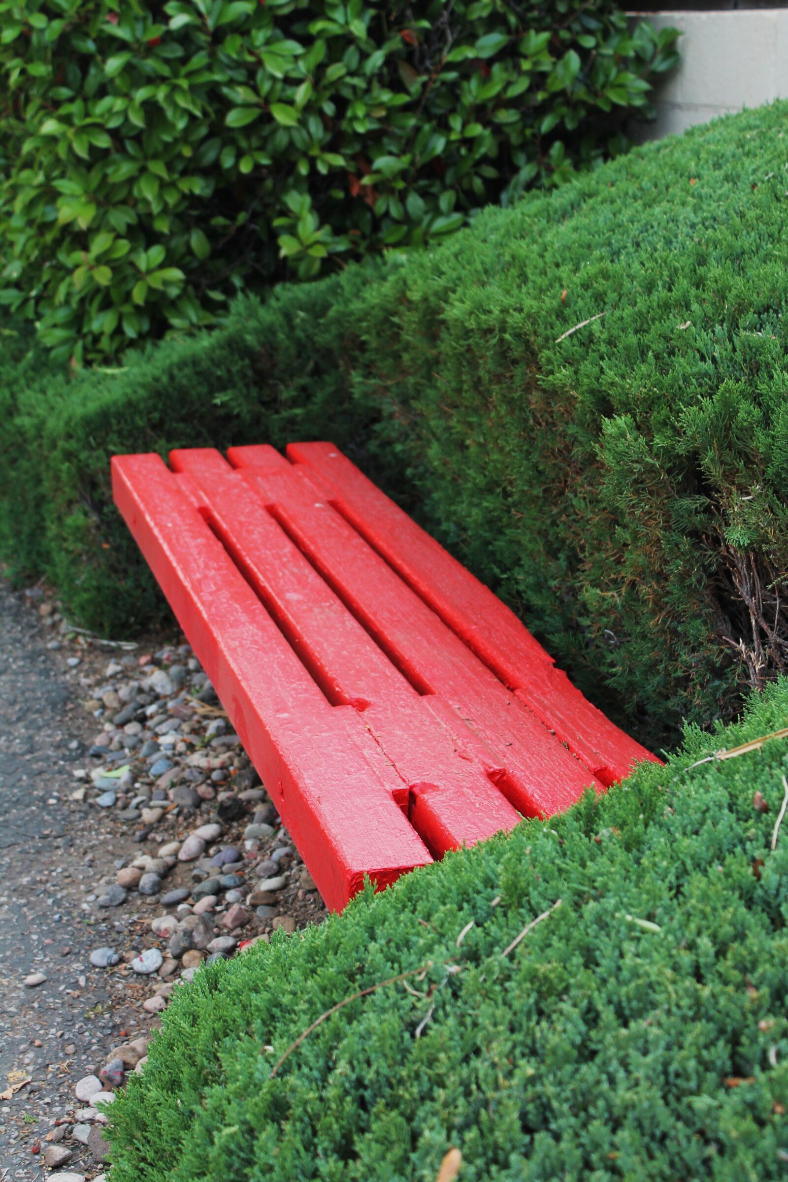 Canon EOS 1100D (EOS Rebel T3 / EOS Kiss X50) sample photo. Park bench, wooden bench photography