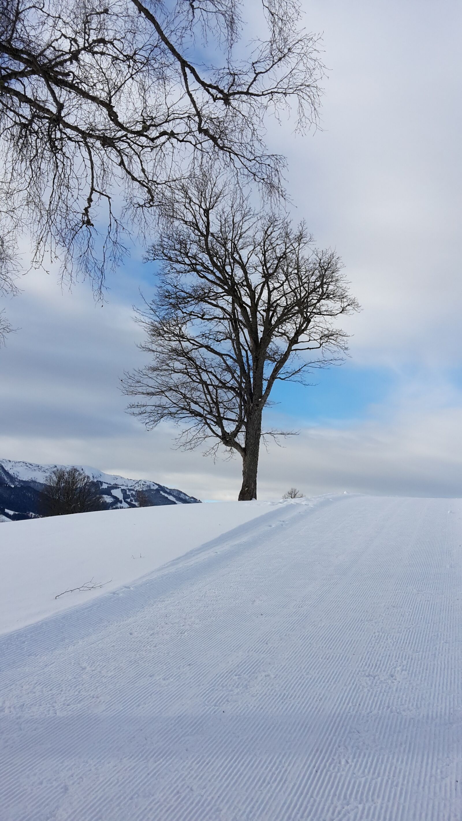 Samsung Galaxy S5 Mini sample photo. Winter, snow, cold photography