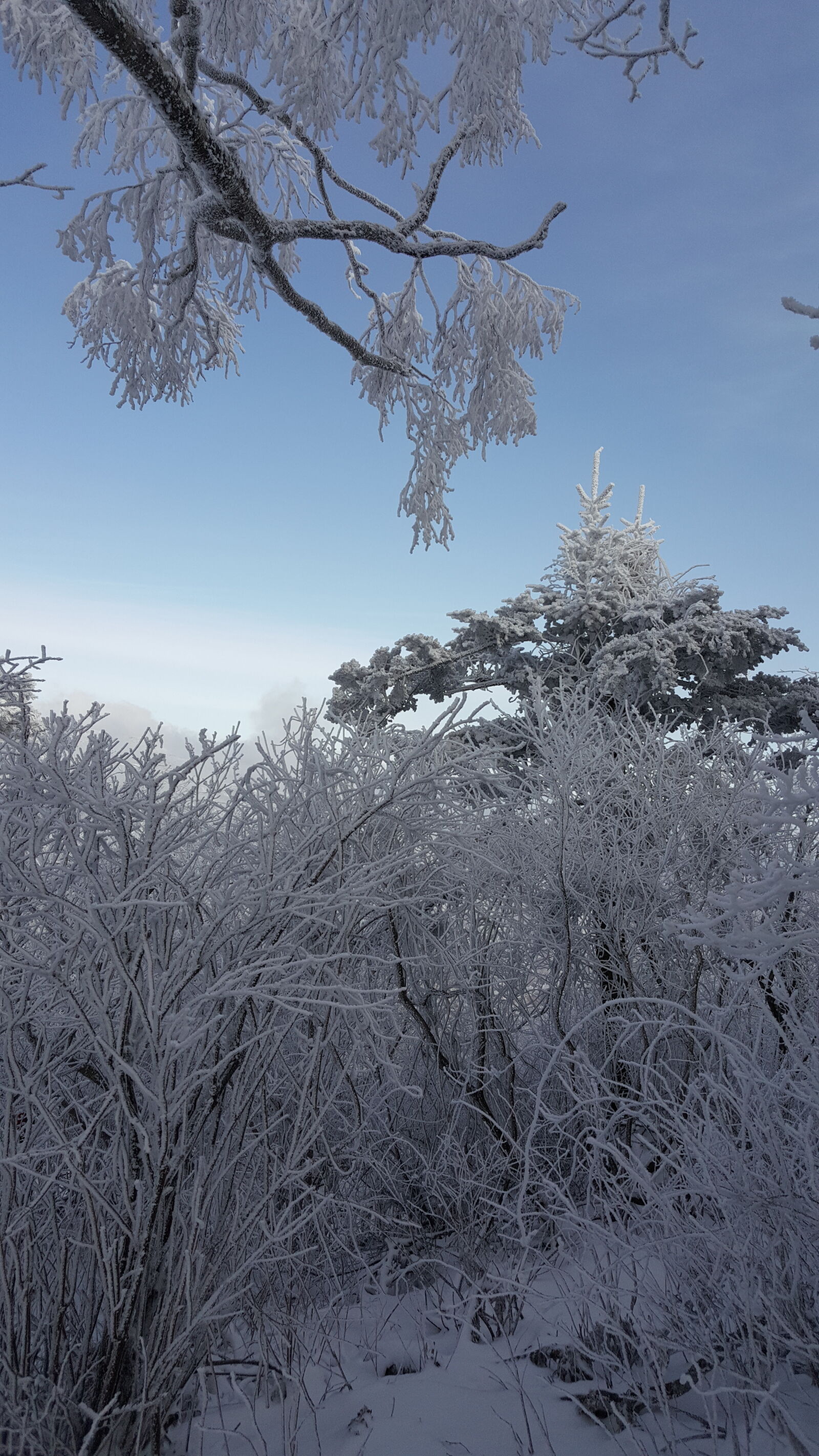 Samsung Galaxy Note5 sample photo. Korea, mountain, taebaeksan, winter photography