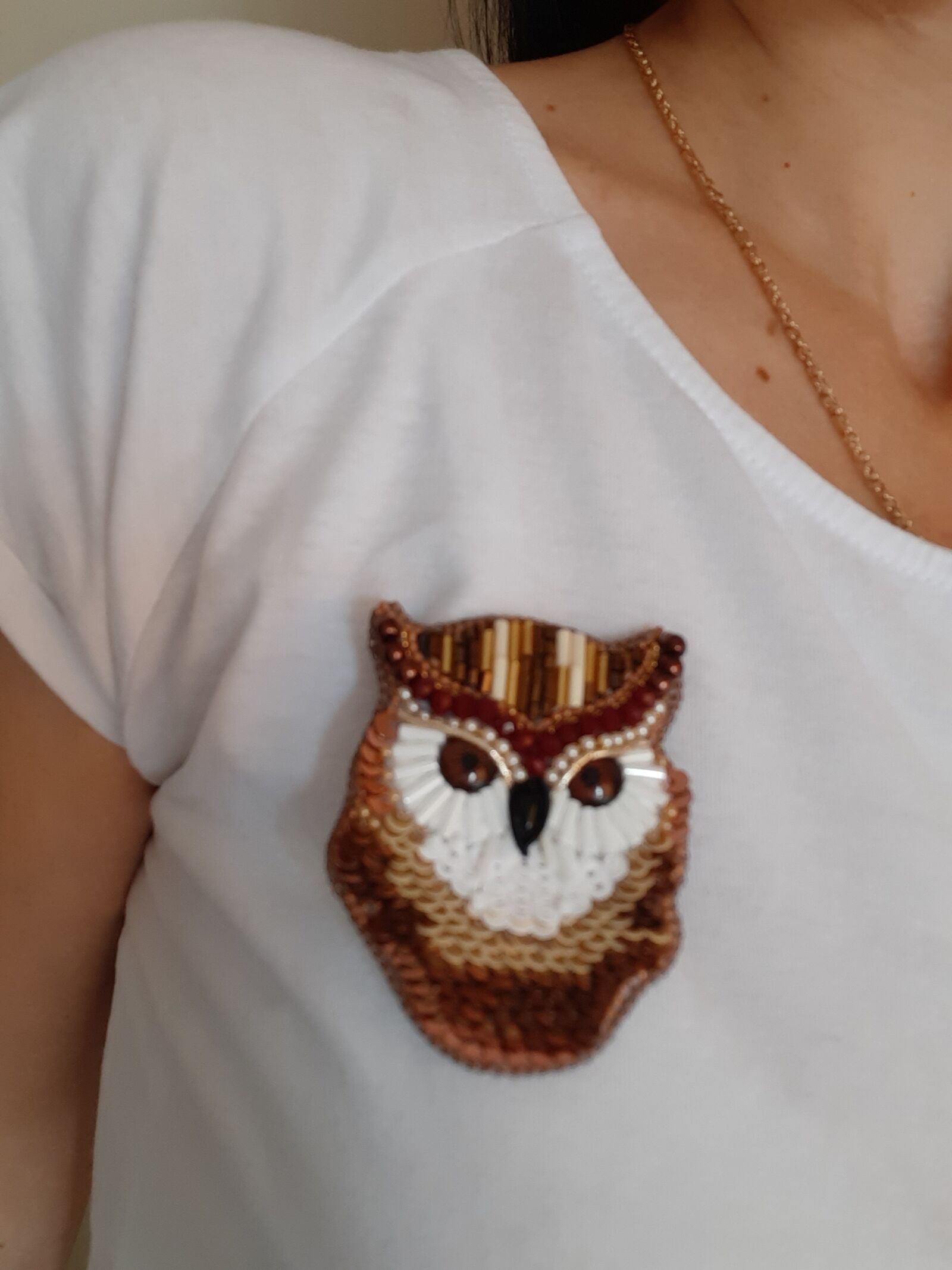 Samsung Galaxy A50 sample photo. Owl, brooch, details photography