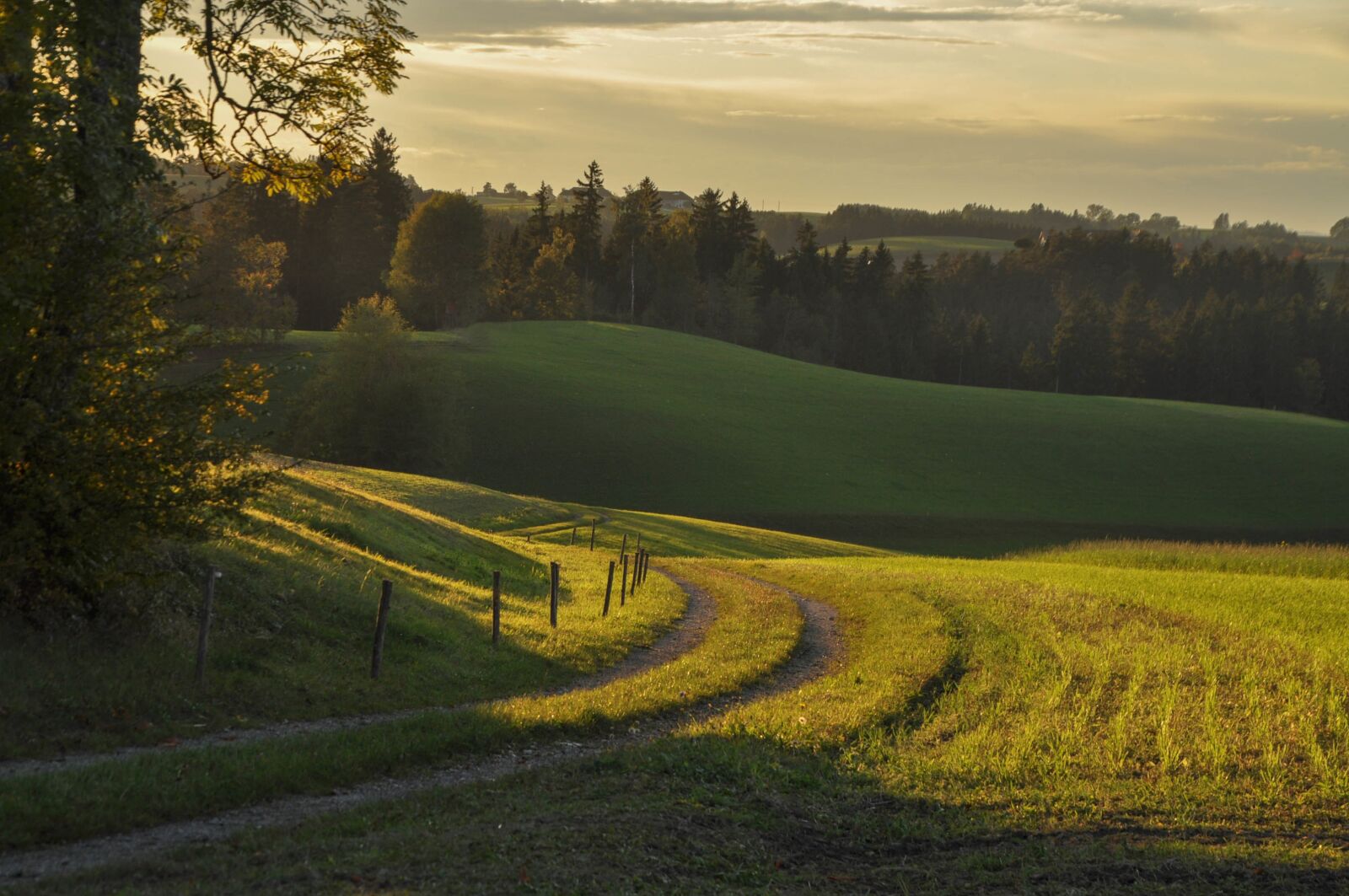 Nikon D90 sample photo. Nature, autumn landscape, autumn photography