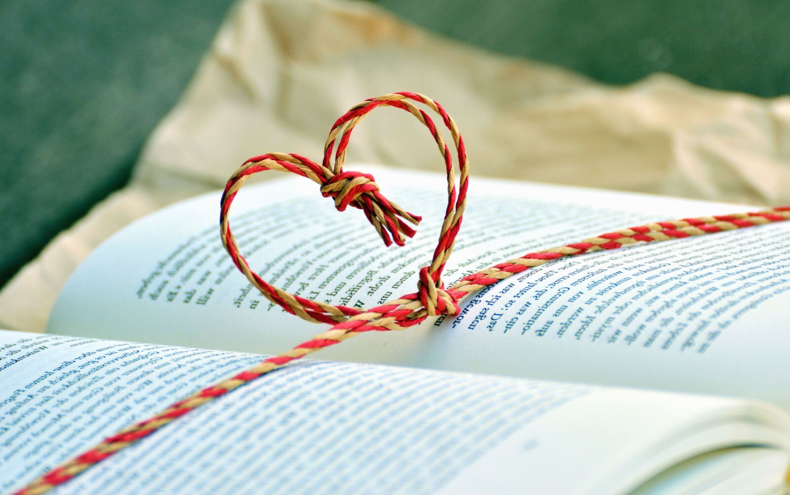 Nikon D5200 sample photo. Book, table, rope, learning photography