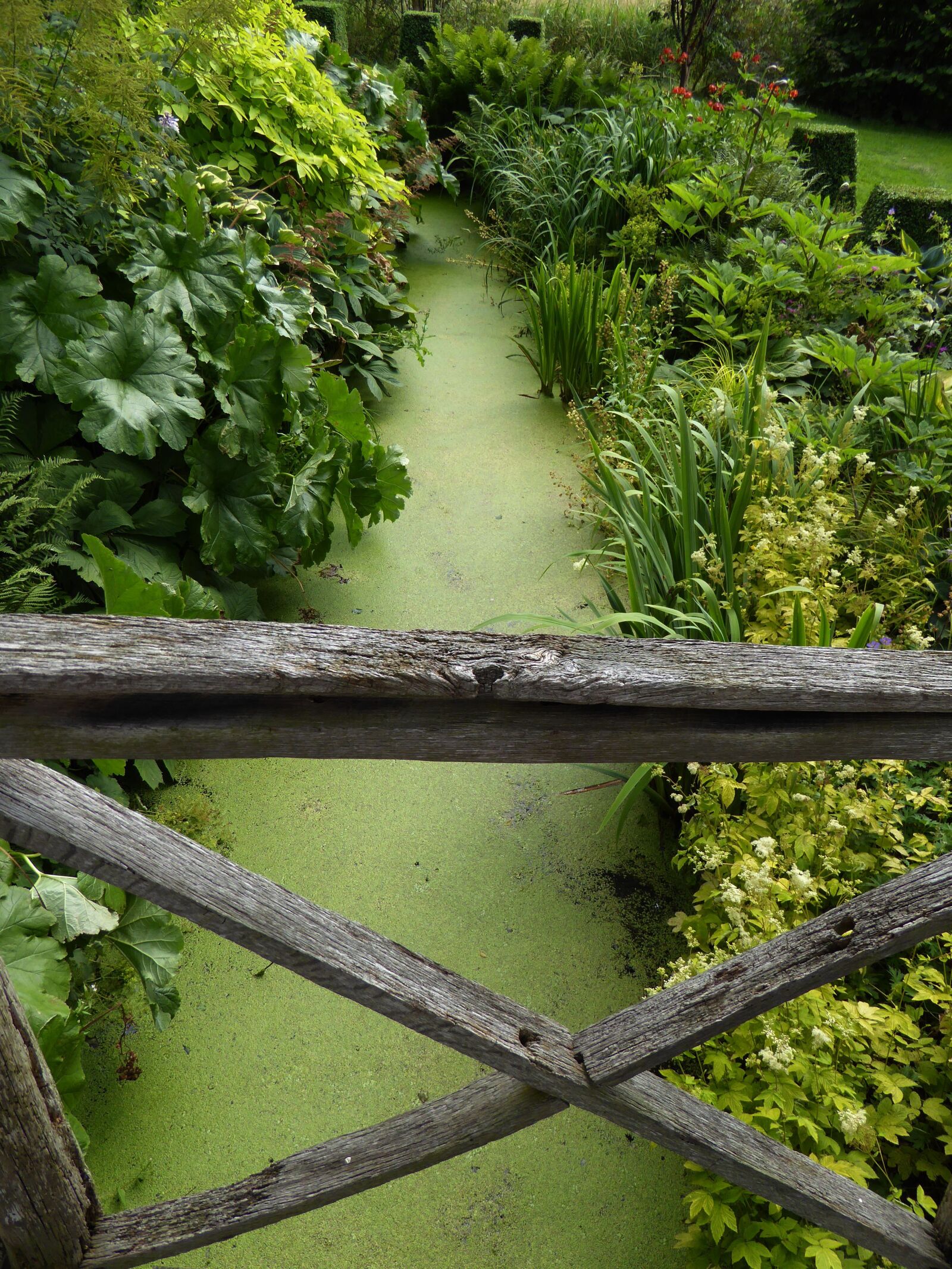 Panasonic DMC-TZ61 sample photo. Wooden bridge, brook green photography