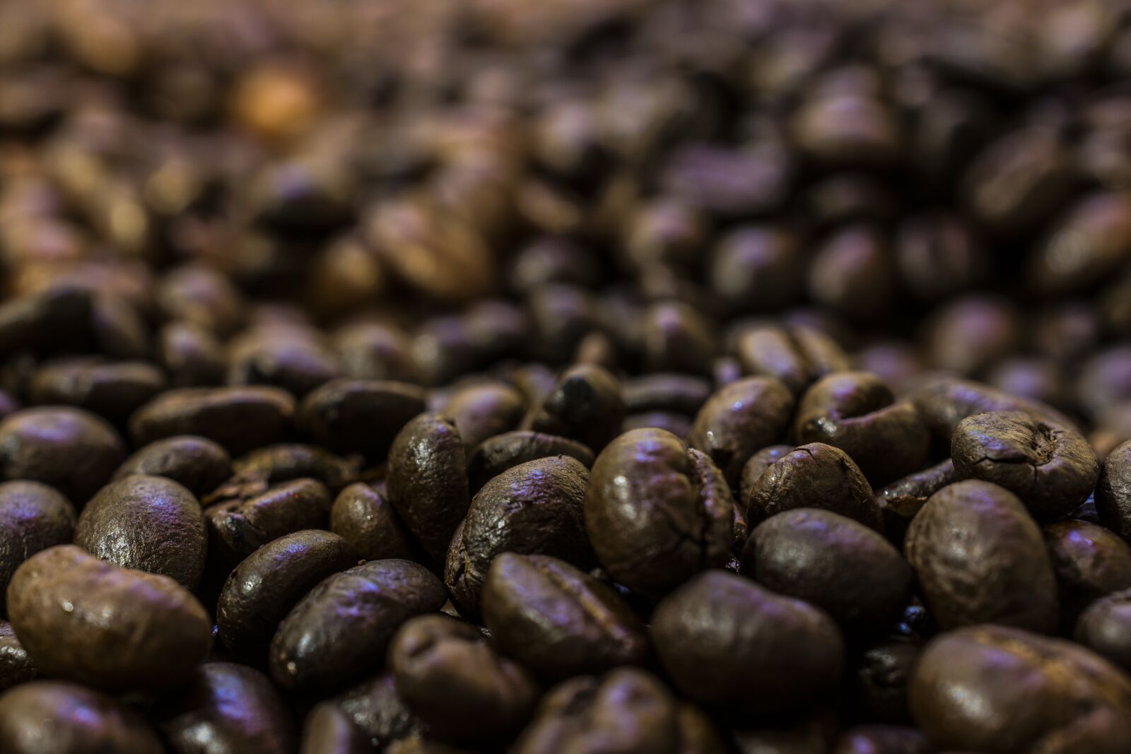 Nikon D7200 sample photo. Coffee, beans, coffee beans photography