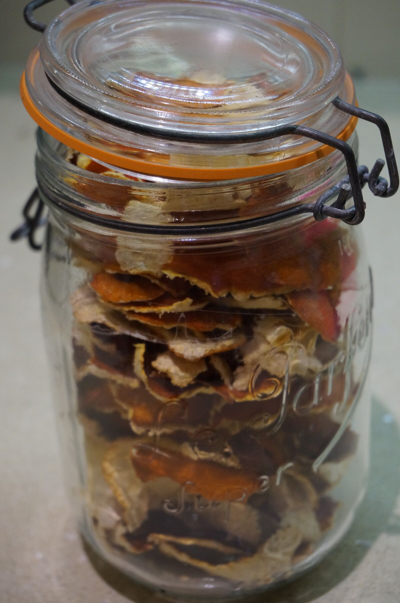 Sony Alpha NEX-3N sample photo. Tangerine, peel, dried photography