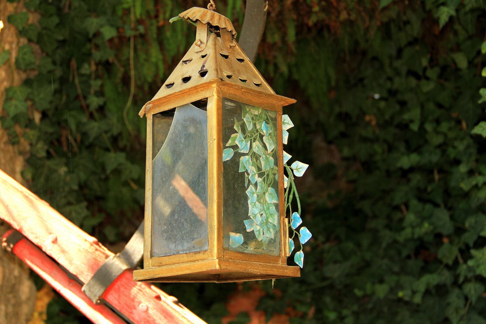 Canon EOS 7D sample photo. Lantern, old, leaves photography