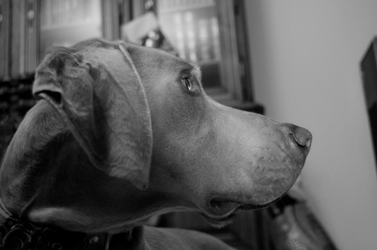 Nikon D3200 sample photo. People, one, portrait photography