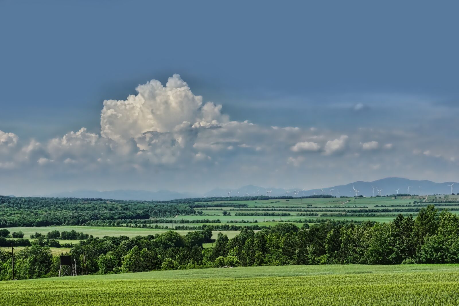 Sony a6000 sample photo. Panorama, landscape, spring photography