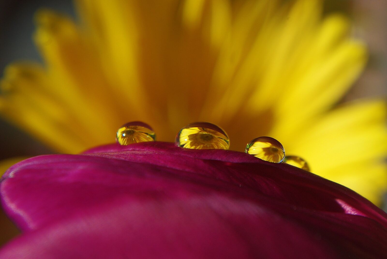 Pentax K-m (K2000) sample photo. Drop of water, drip photography