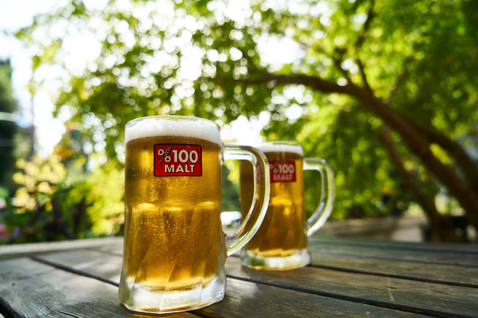 Sony a7R II sample photo. Beer, bar, the drink photography