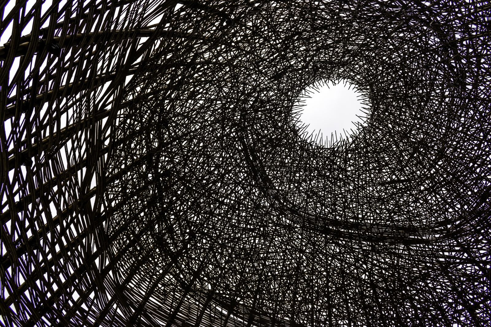 Nikon D5500 sample photo. Desktop, pattern, abstract photography