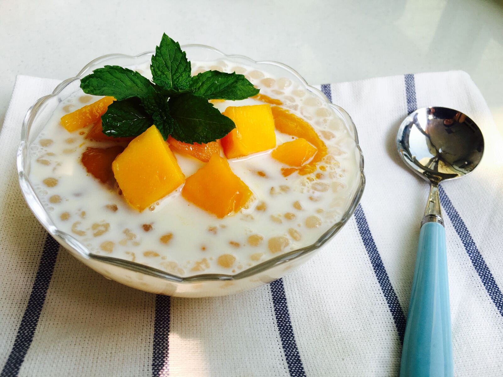iPhone 6s Plus back camera 4.15mm f/2.2 sample photo. Mango, mango sago, mint photography