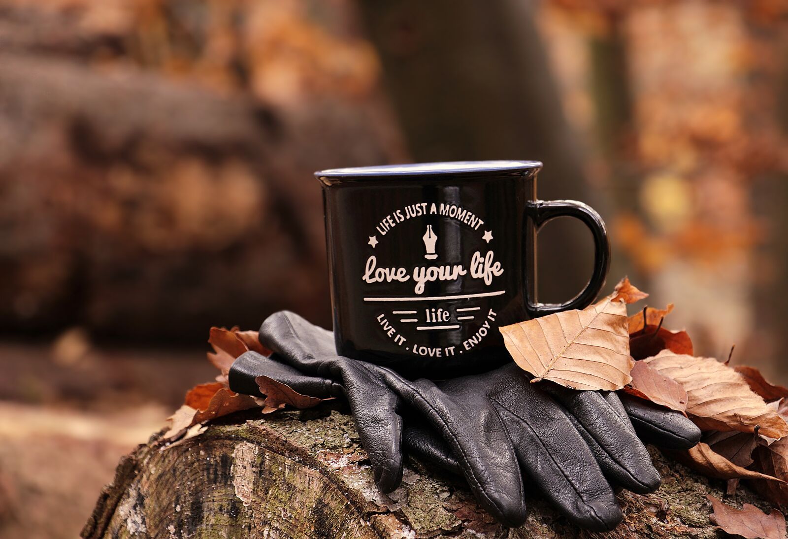 Canon EOS 100D (EOS Rebel SL1 / EOS Kiss X7) sample photo. Forest, autumn, cup photography