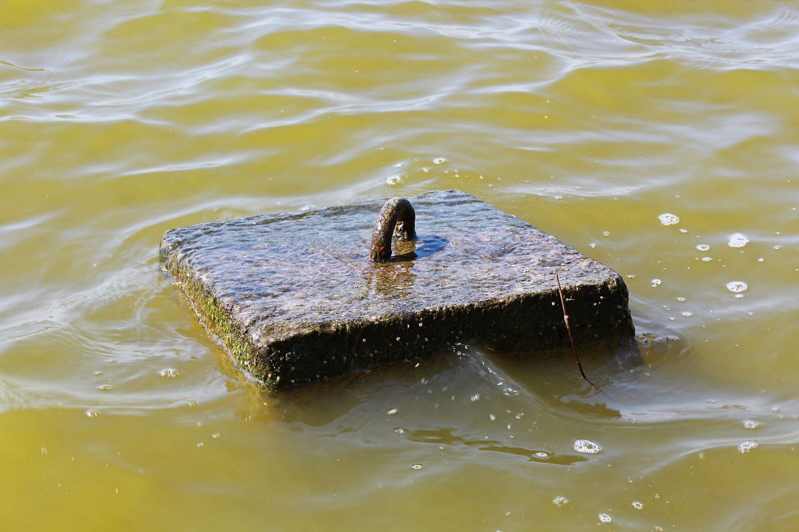 Canon EOS 1200D (EOS Rebel T5 / EOS Kiss X70 / EOS Hi) sample photo. Water, steinboje, fixing photography