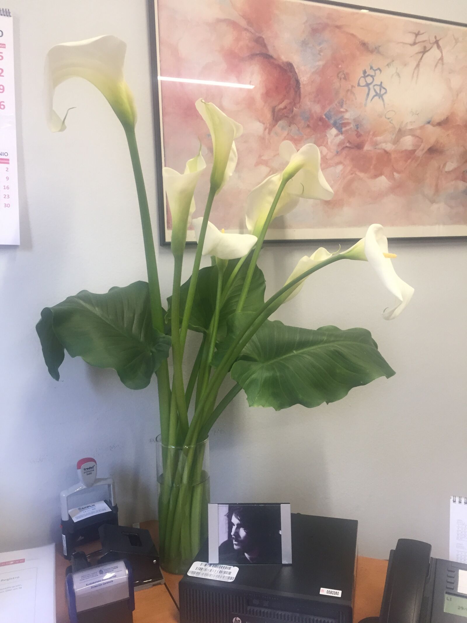iPhone 6 back camera 4.15mm f/2.2 sample photo. Flowers, coves, white photography