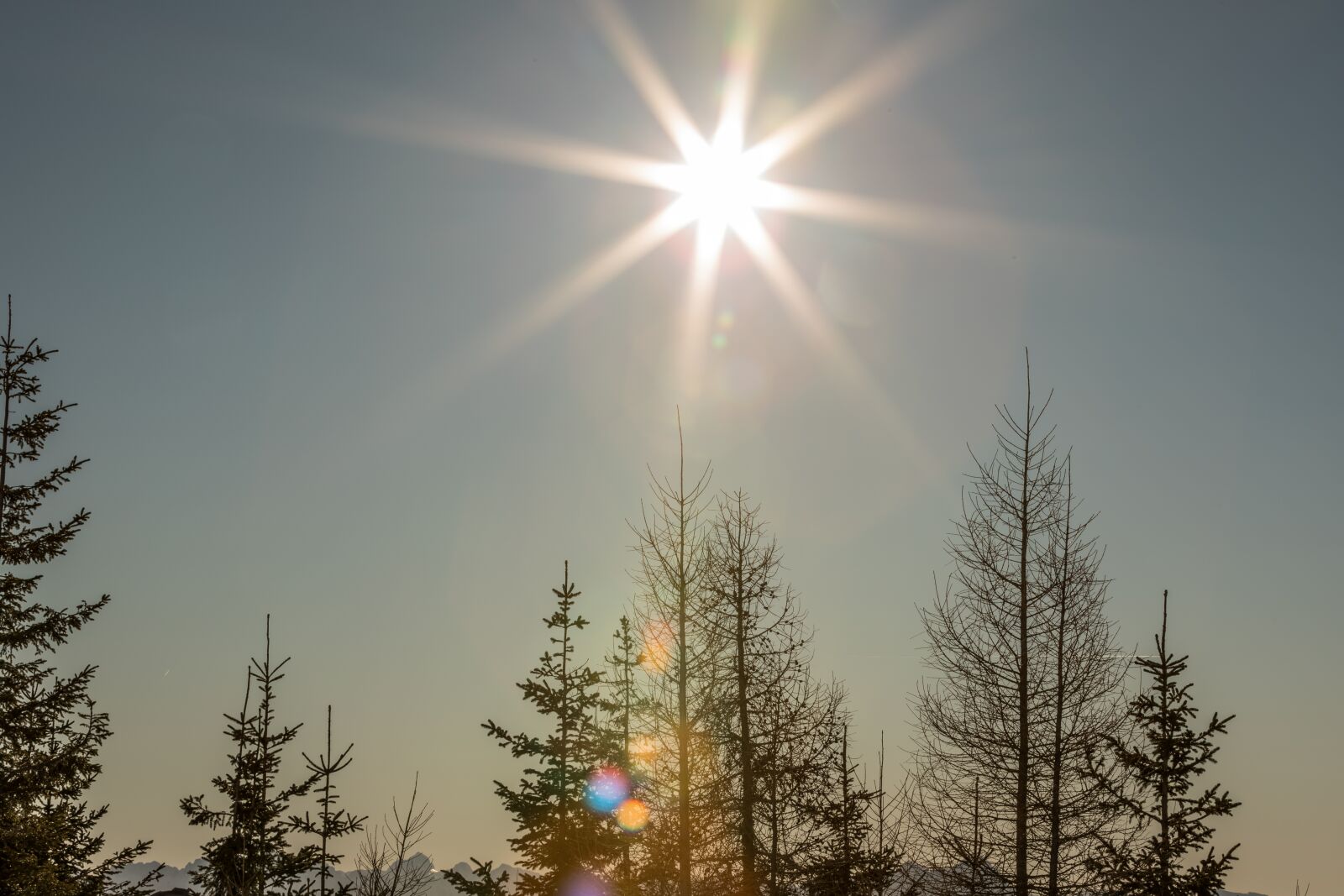 Canon EF 70-200mm F2.8L IS II USM sample photo. New year's day, sun photography