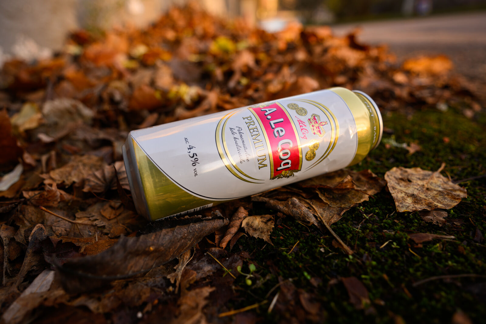 Nikon Z9 sample photo. Beer can littering photography