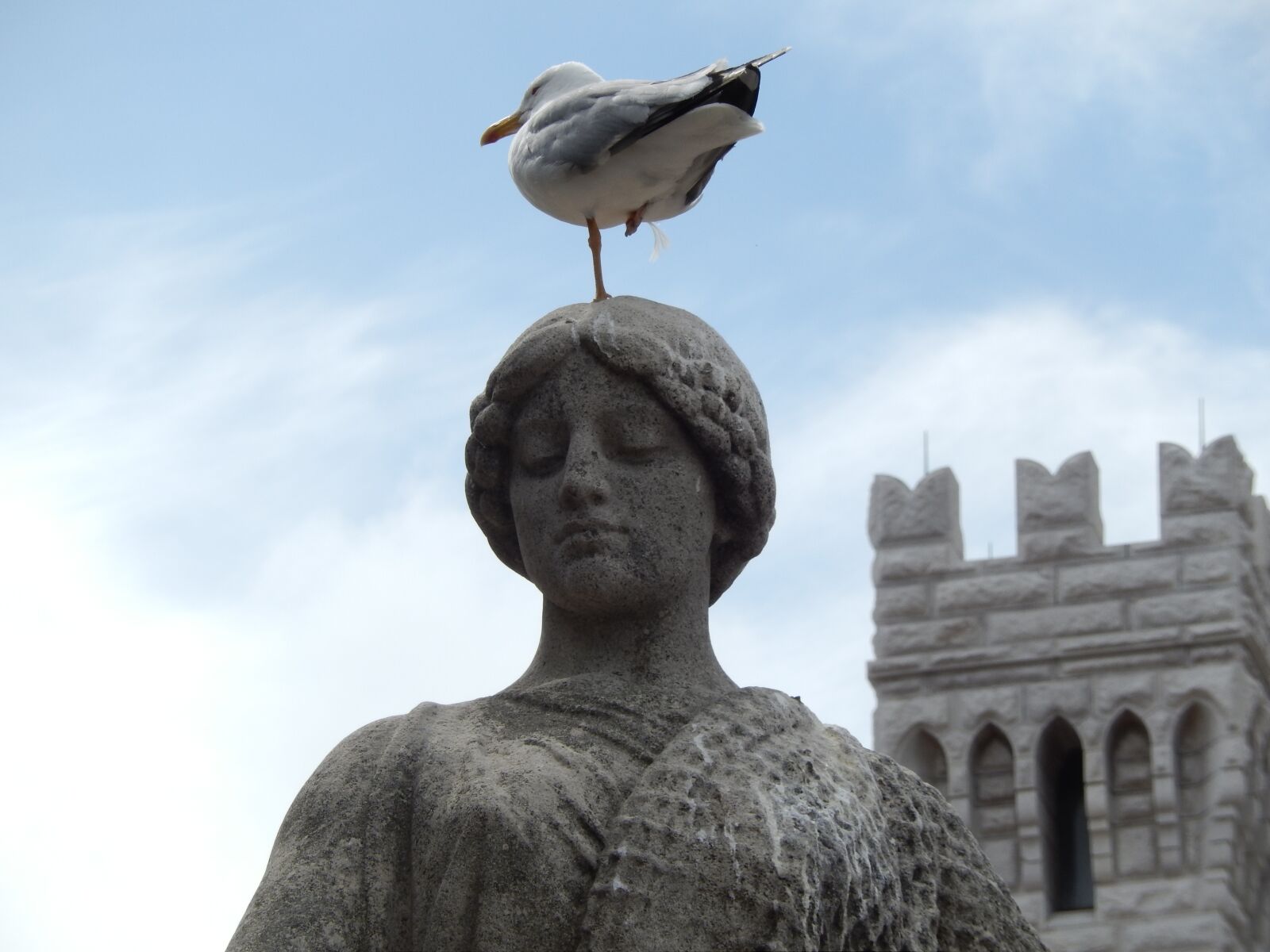 Nikon Coolpix S9500 sample photo. Seagull, stature, monte carlo photography