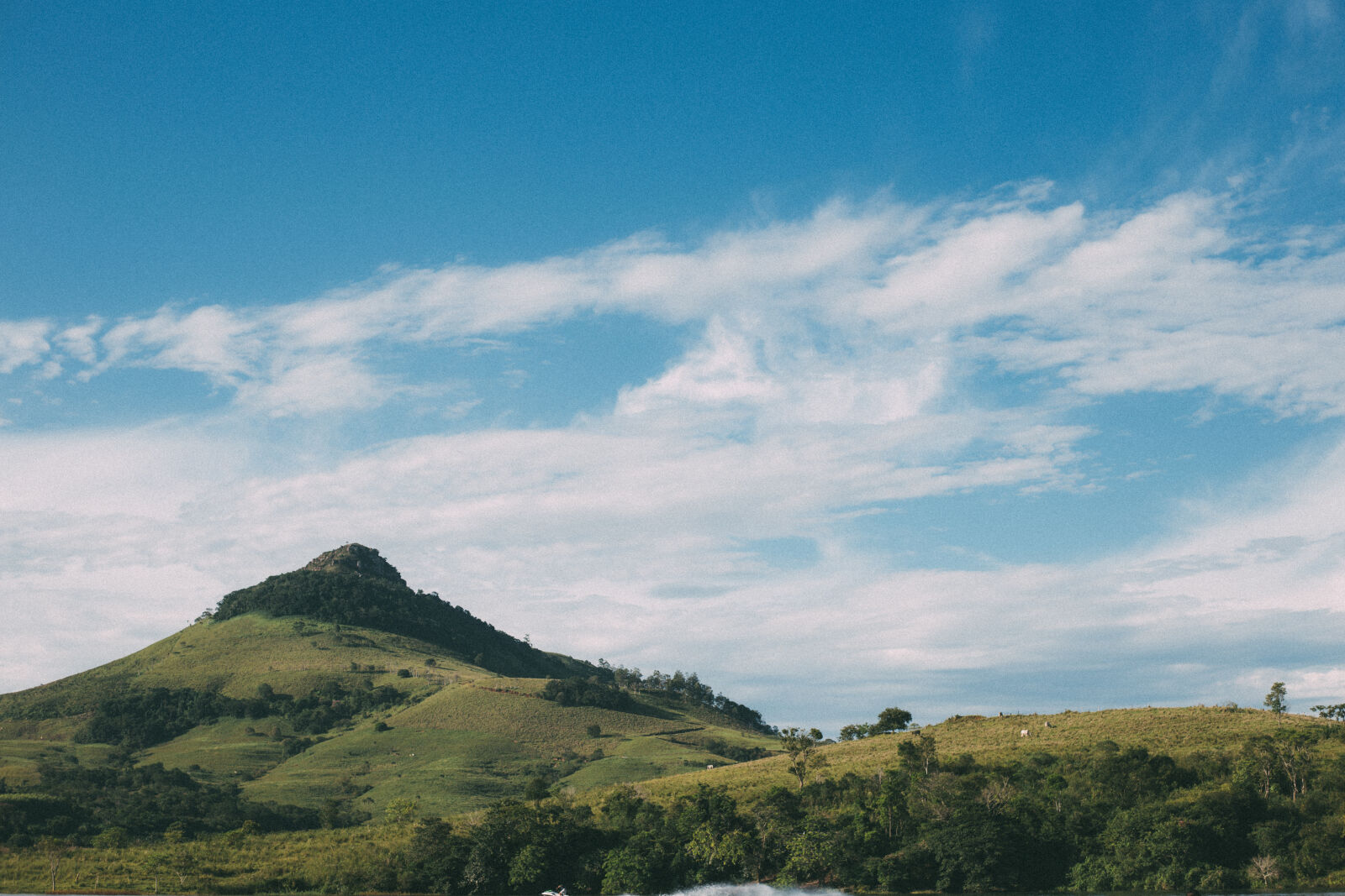 Canon EOS 6D + Canon EF 50mm F1.8 II sample photo. Clouds, daylight, grass, grassland photography