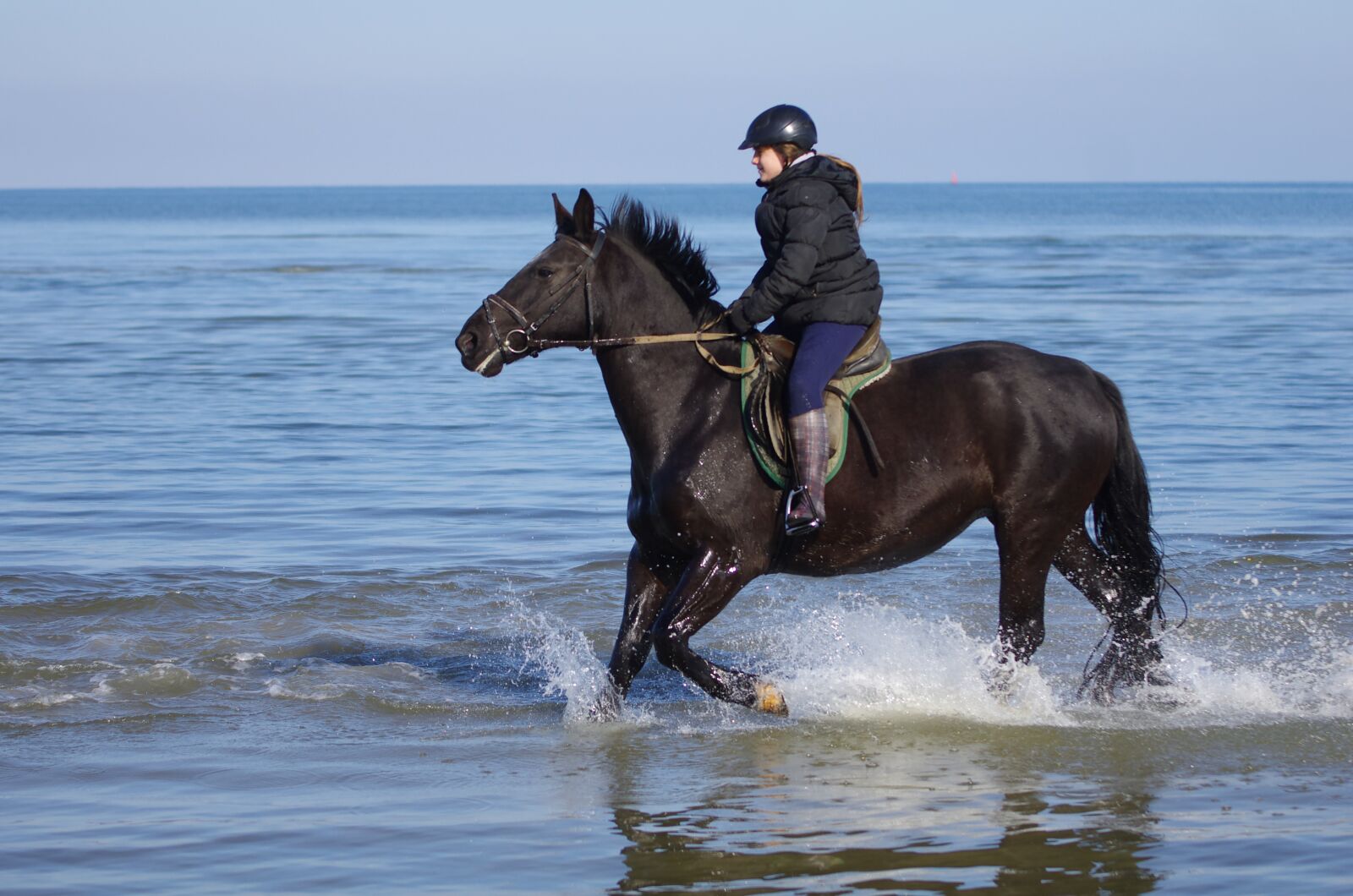 Pentax K-5 sample photo. Waters, horse photography
