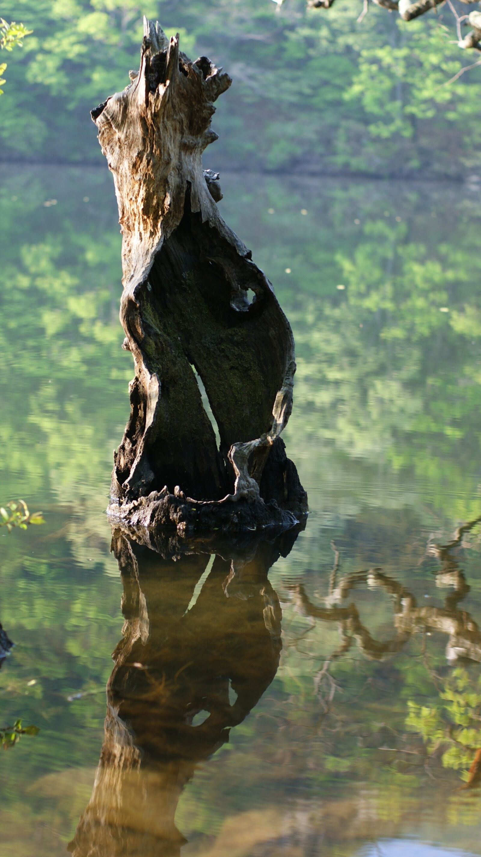 Sony Alpha DSLR-A350 sample photo. The main production, wangbeodeul photography